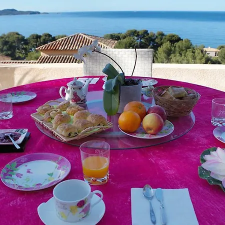 Bellevue Bed & Breakfast